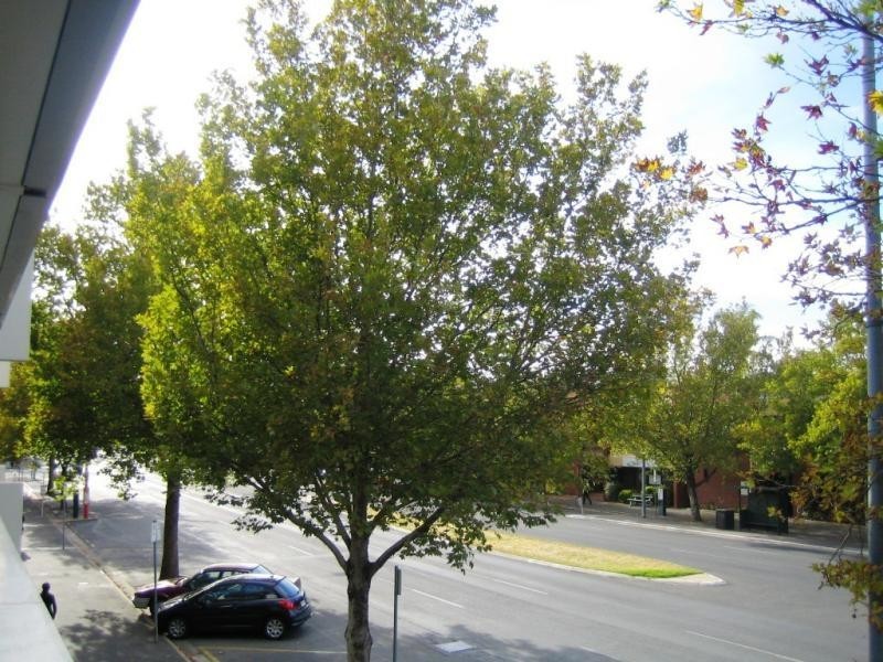 168 Wakefield Street, Adelaide SA 5000