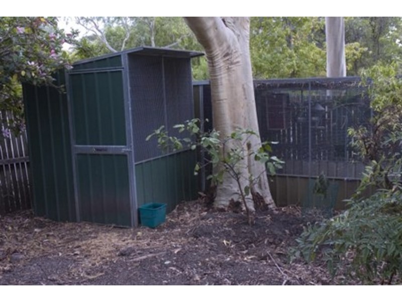 1 Grassdale Rise, Aberfoyle Park SA 5159