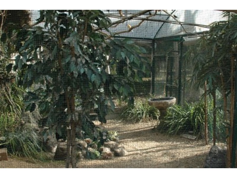 1 Grassdale Rise, Aberfoyle Park SA 5159