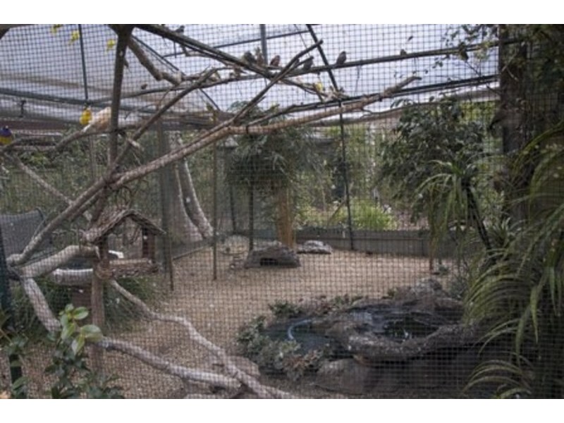 1 Grassdale Rise, Aberfoyle Park SA 5159