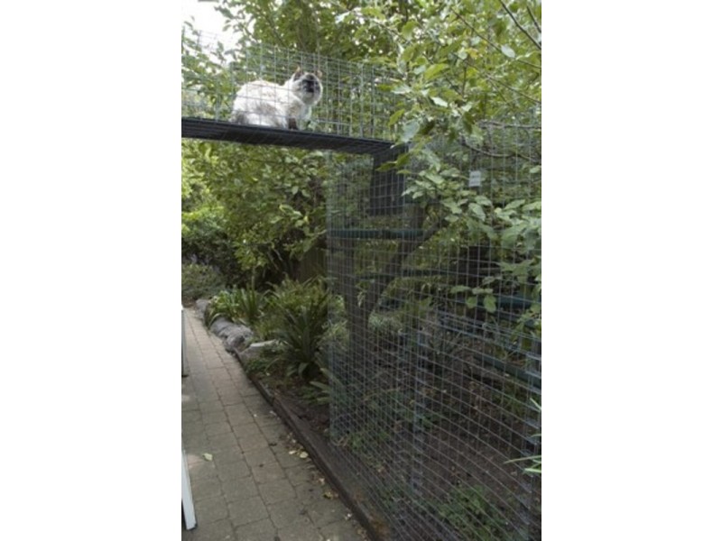 1 Grassdale Rise, Aberfoyle Park SA 5159