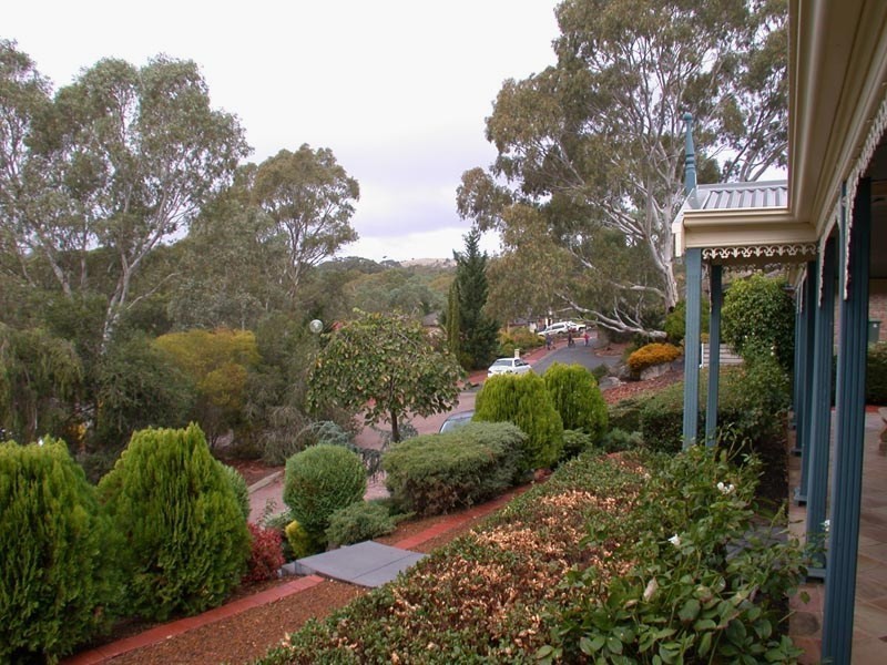 11 Skylark Close, Flagstaff Hill SA 5159