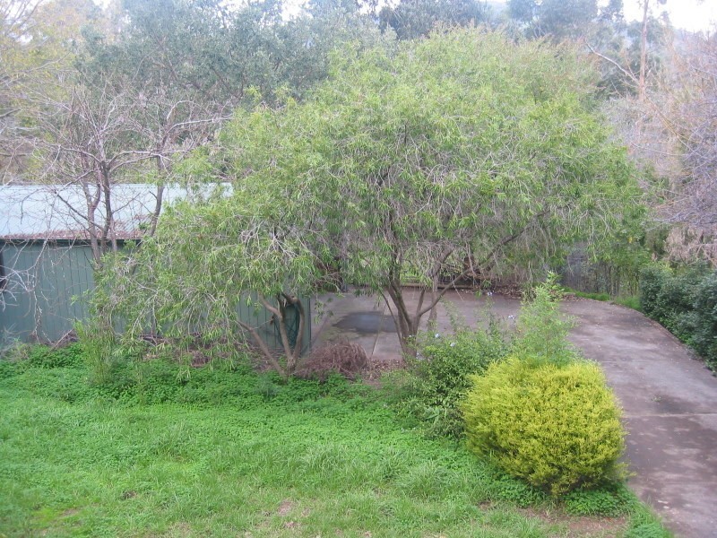 61 Winns Road, Coromandel Valley SA 5051