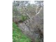 61 Winns Road, Coromandel Valley SA 5051