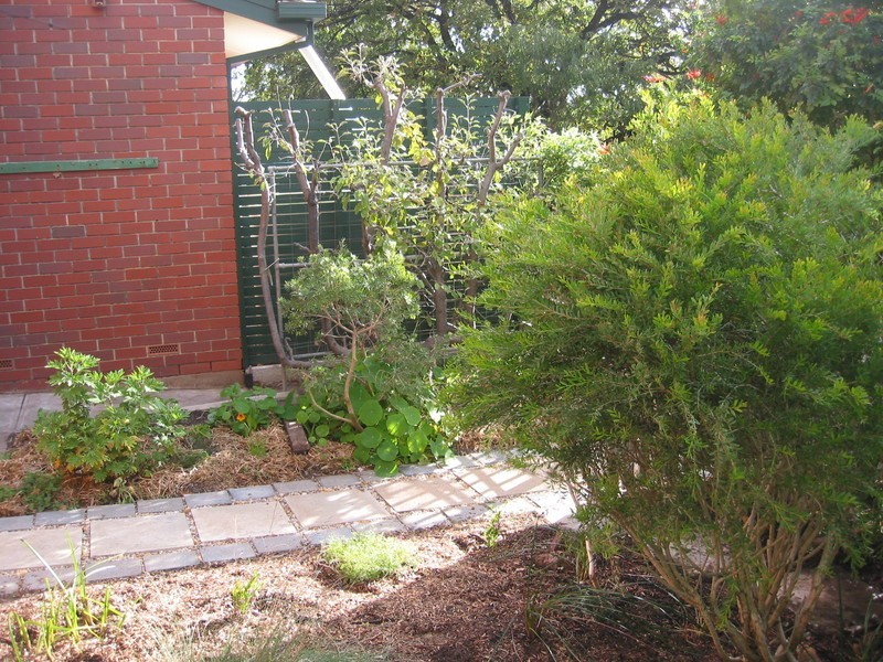 9/24 Waite Street, Blackwood SA 5051