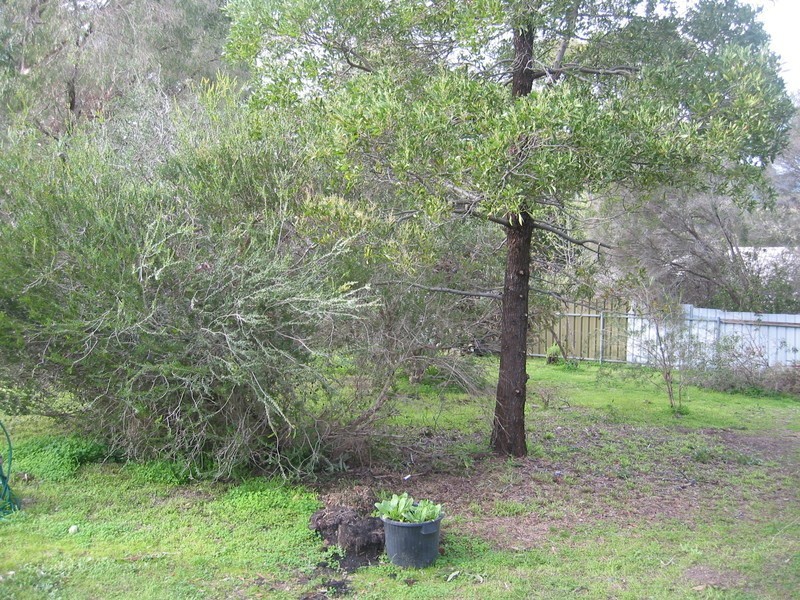 119 Coromandel Parade, Coromandel Valley SA 5051