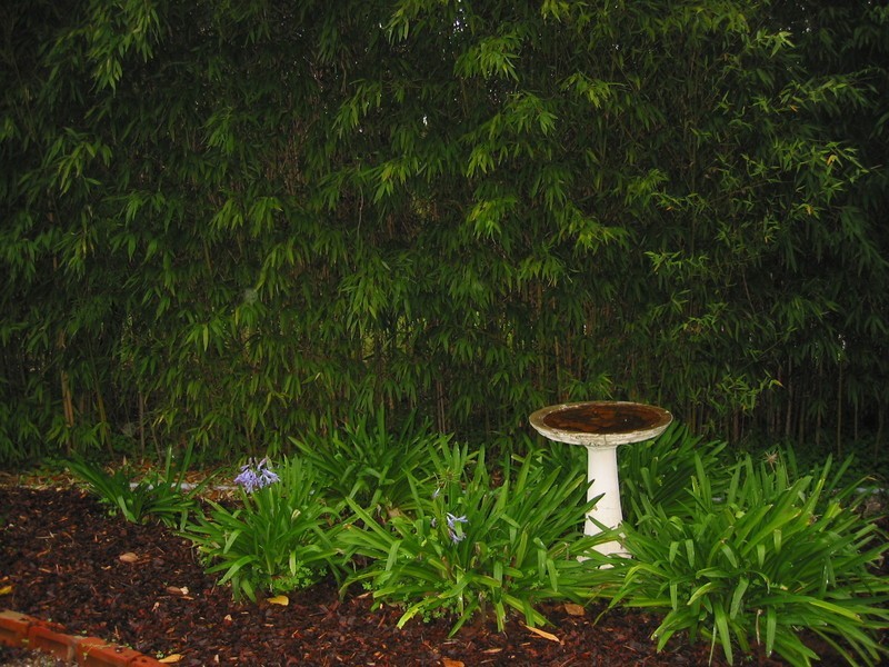 347 Main Road, Coromandel Valley SA 5051