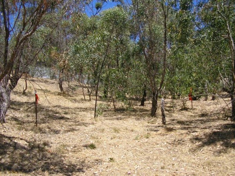 5 Uralla Court, Blackwood SA 5051