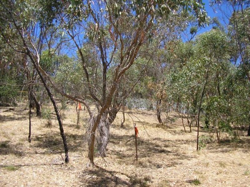 5 Uralla Court, Blackwood SA 5051