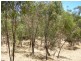 5 Uralla Court, Blackwood SA 5051