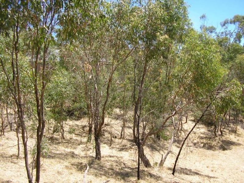 5 Uralla Court, Blackwood SA 5051