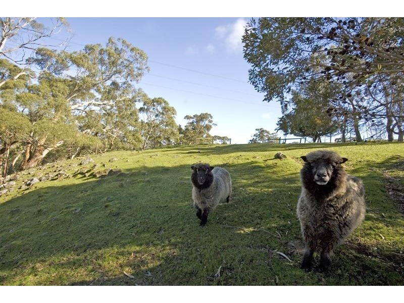 960 Ackland Hill Road, Coromandel East SA 5157