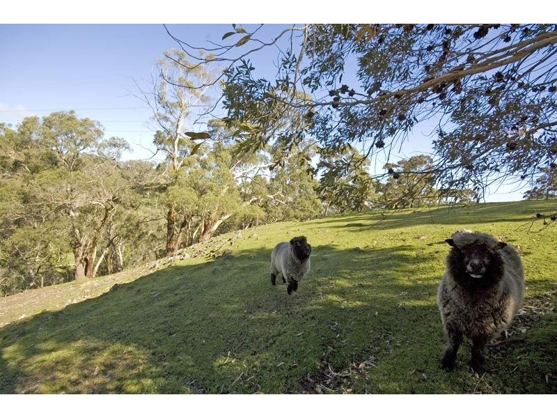 960 Ackland Hill Road, Coromandel East SA 5157