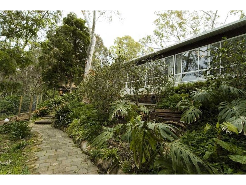 7 Rustic Avenue, Coromandel Valley SA 5051