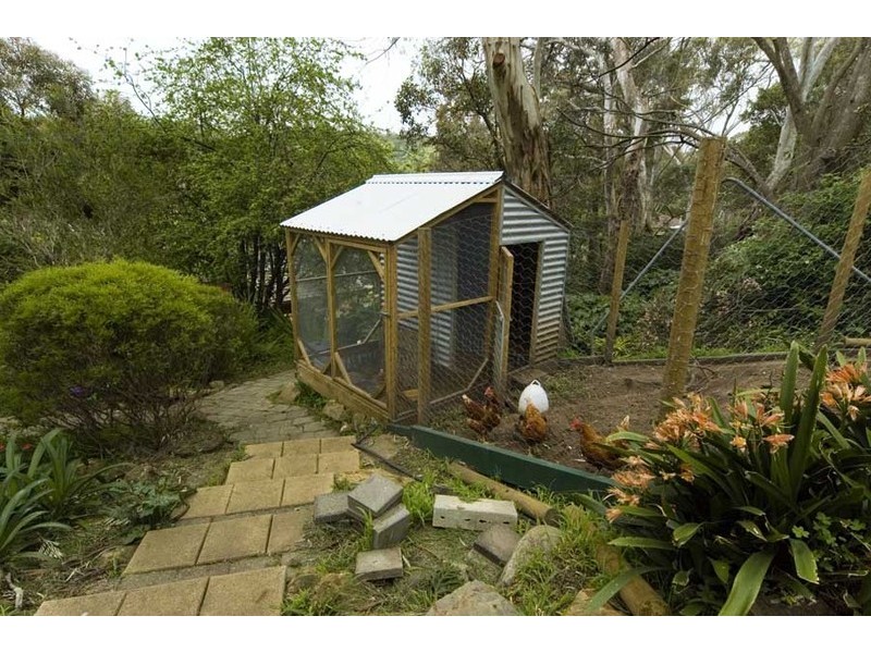 7 Rustic Avenue, Coromandel Valley SA 5051