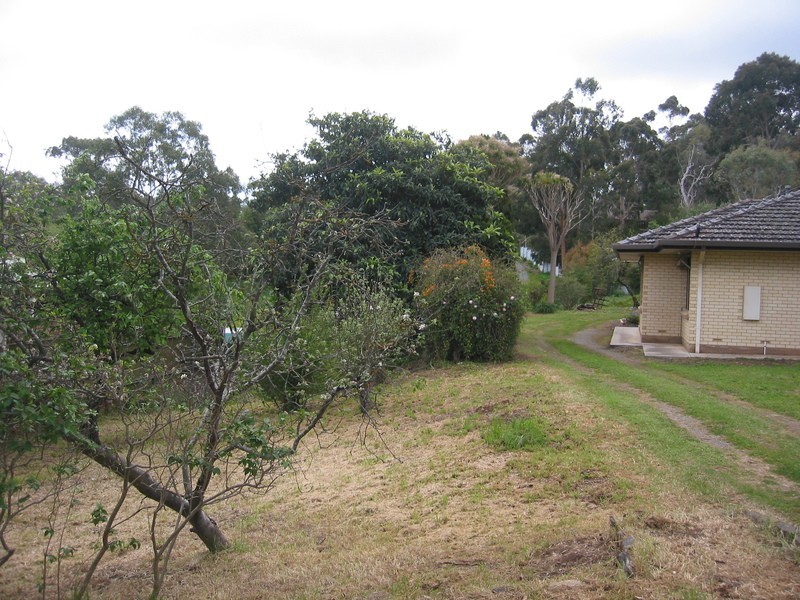 7 Nicolle Drive, Coromandel Valley SA 5051