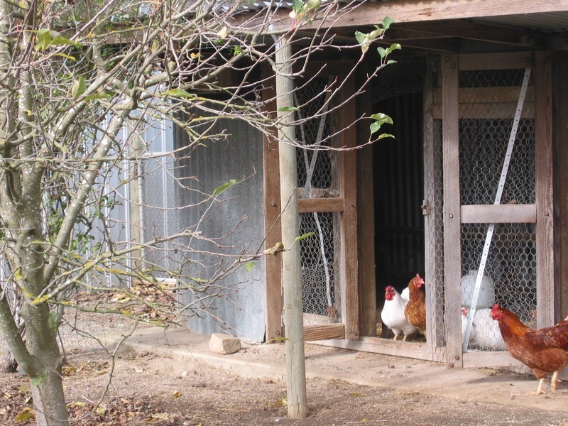 813 Ackland Hill Road, Coromandel East SA 5157