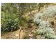 15 Bens Place, Blackwood SA 5051