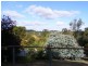 19 Pine Avenue, Hahndorf SA 5245