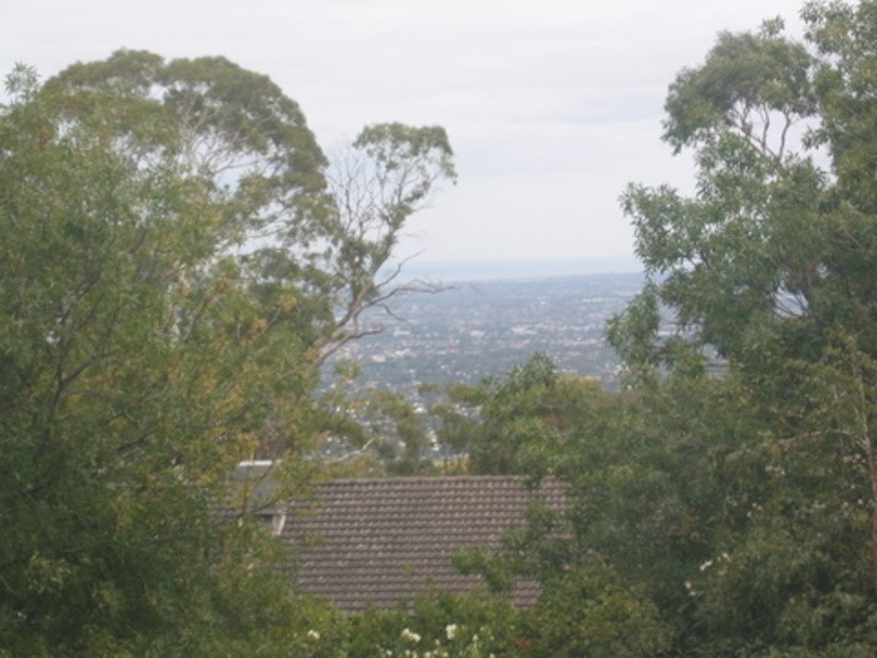 2 Wattle Grove, Belair SA 5052