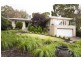 11 Pine Grove, Belair SA 5052
