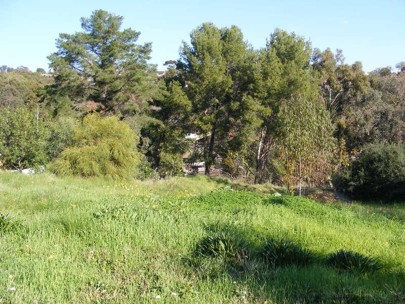 29 Glenwood Drive, Bellevue Heights SA 5050