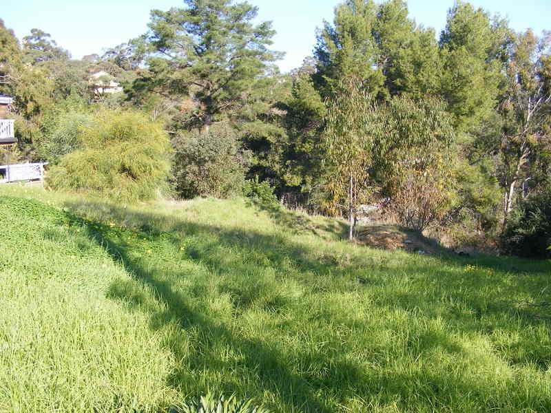 29 Glenwood Drive, Bellevue Heights SA 5050