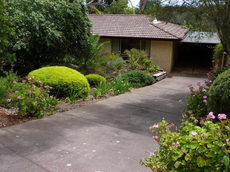 18 Crane Avenue, Coromandel Valley SA 5051