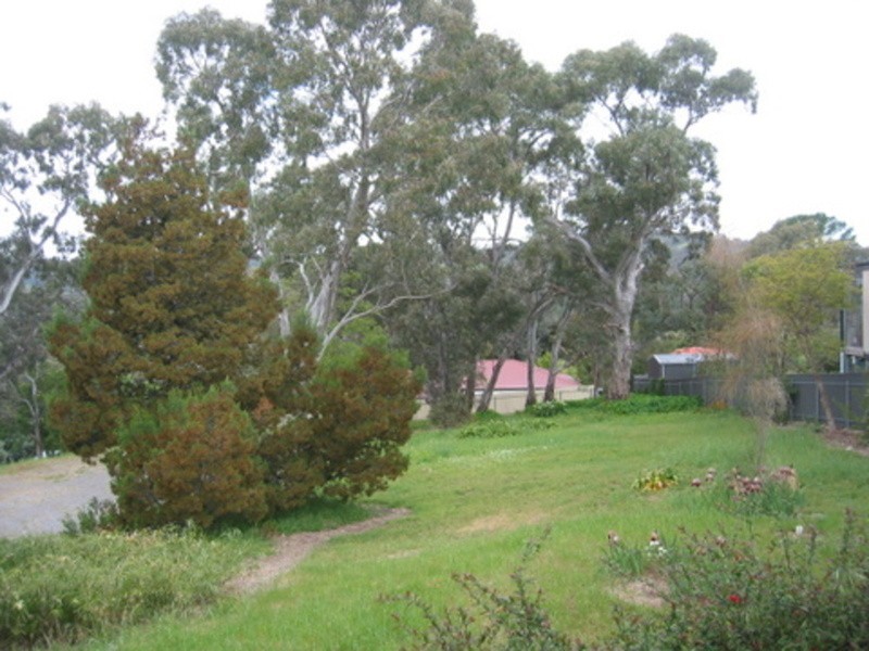 5 Winns Road, Blackwood SA 5051