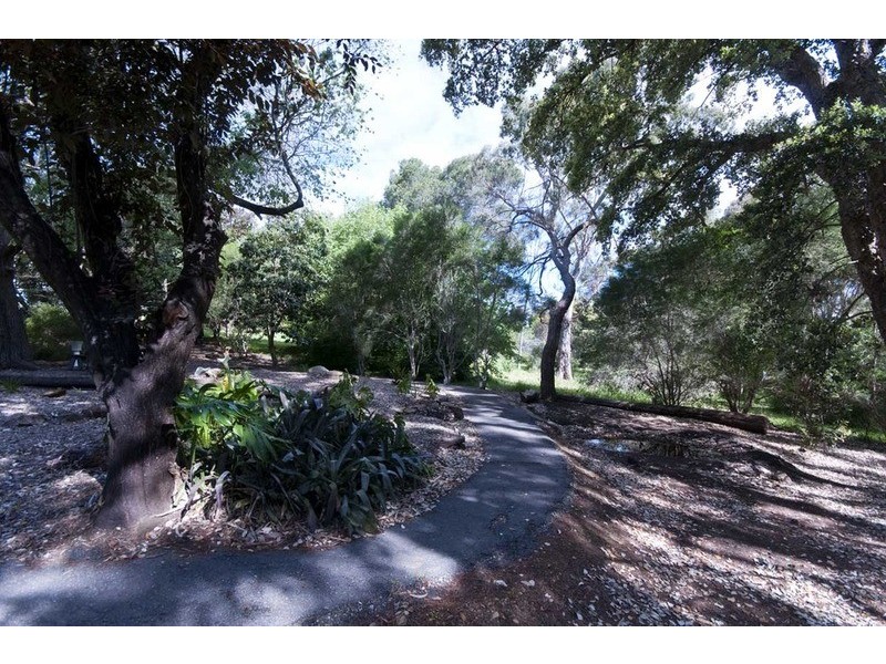 11 Downer Avenue, Belair SA 5052