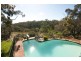 24 Banksia Crescent, Belair SA 5052