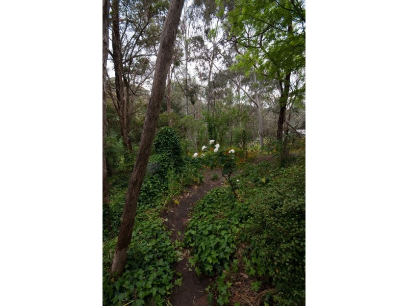 25a Penno (North) Parade, Belair SA 5052