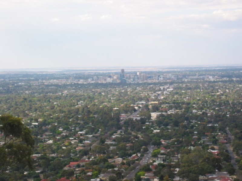 14 Adamson Avenue, Belair SA 5052