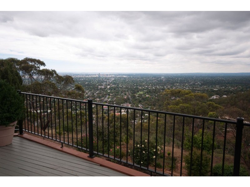 14 Adamson Avenue, Belair SA 5052