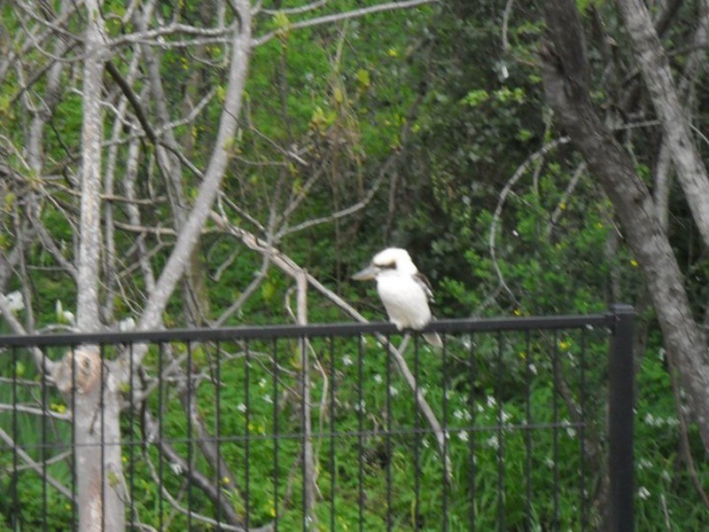 lot 3/25 McNamara Road, Coromandel Valley SA 5051