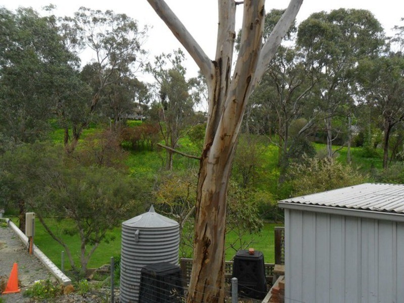 lot 3/25 McNamara Road, Coromandel Valley SA 5051