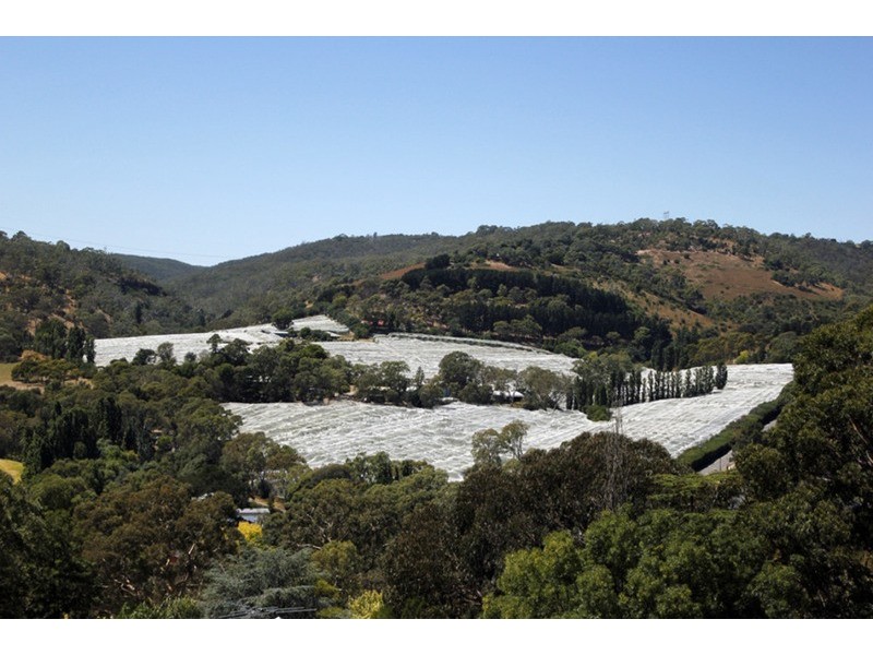 107 Coromandel Parade, Coromandel Valley SA 5051