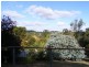 19 Pine Avenue, Hahndorf SA 5245