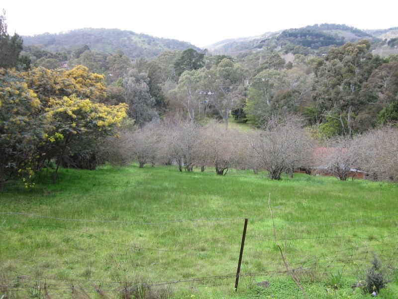 15 Devon Drive, Coromandel Valley SA 5051