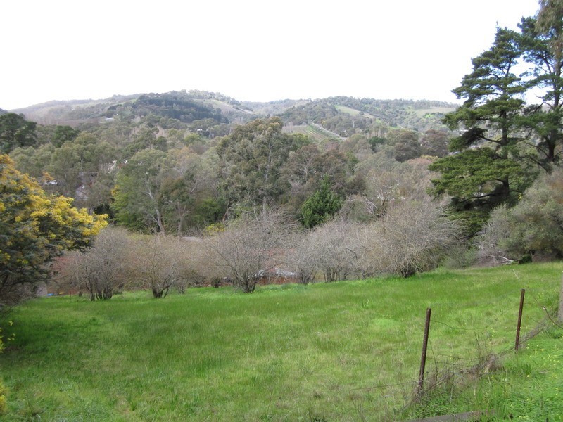 15 Devon Drive, Coromandel Valley SA 5051
