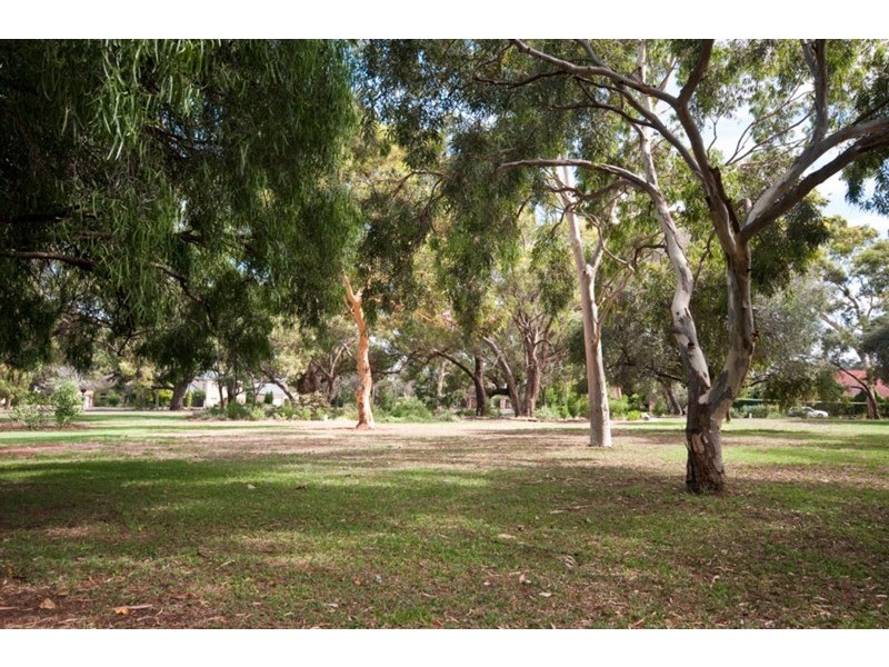 7 East Terrace, Beaumont SA 5066