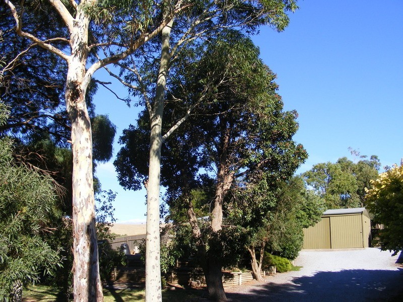 Allotment 8 Park Street, Second Valley SA 5204