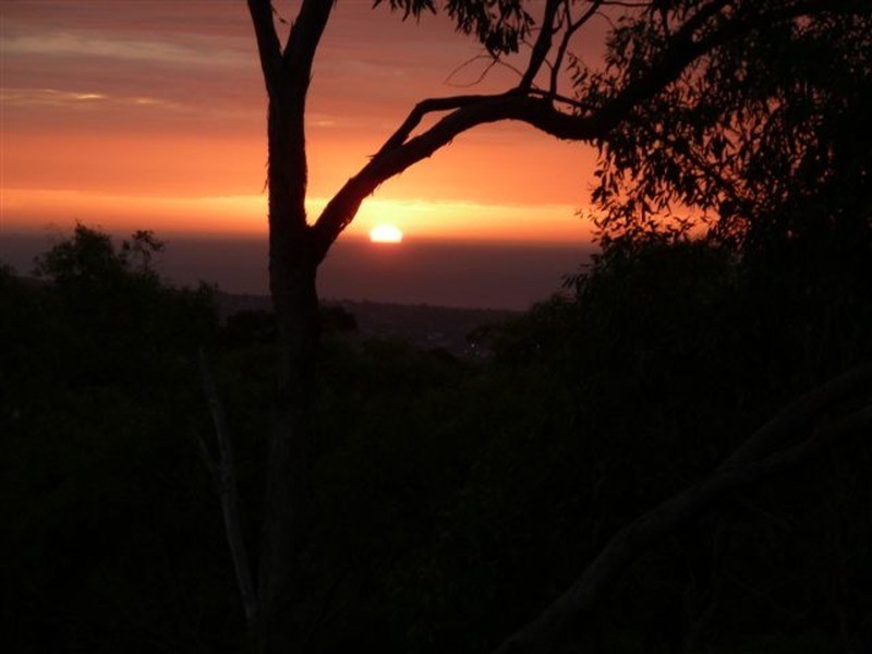 428 Belair Road, Belair SA 5052