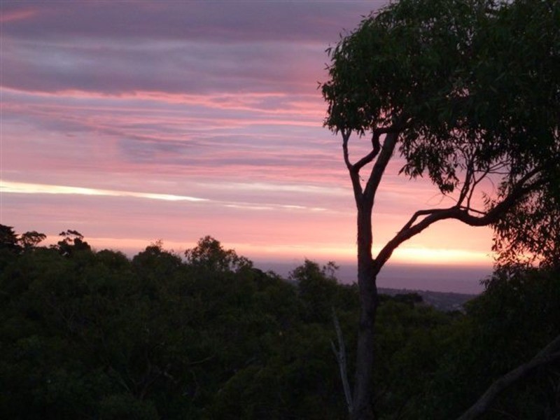 428 Belair Road, Belair SA 5052