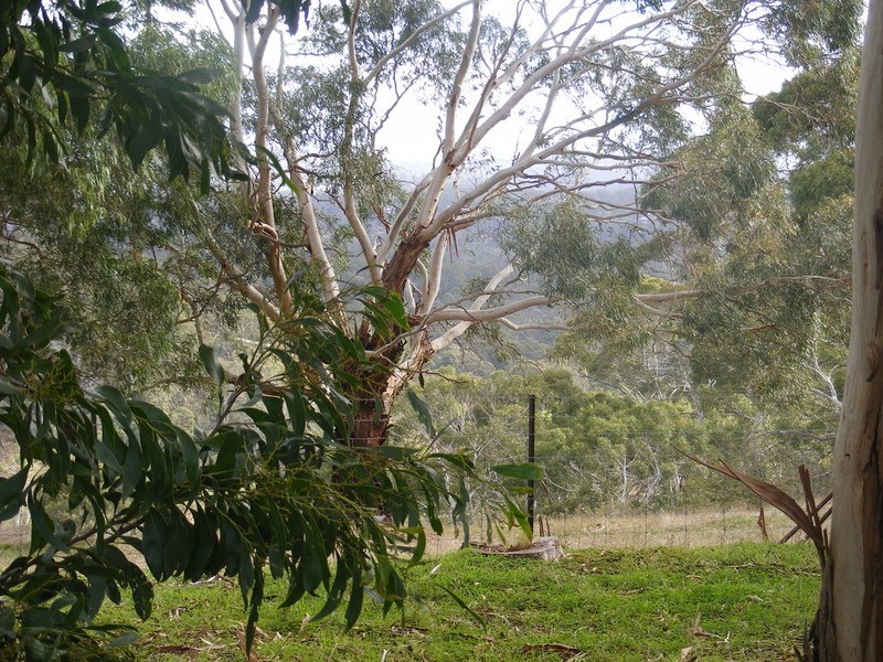 Lot 2 Footts Hill Road, Hawthorndene SA 5051