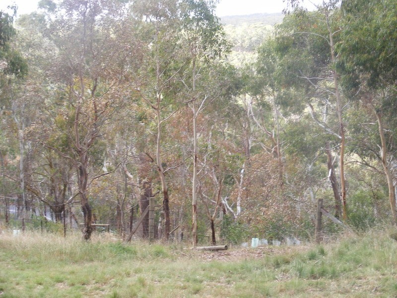 Lot 2 Footts Hill Road, Hawthorndene SA 5051