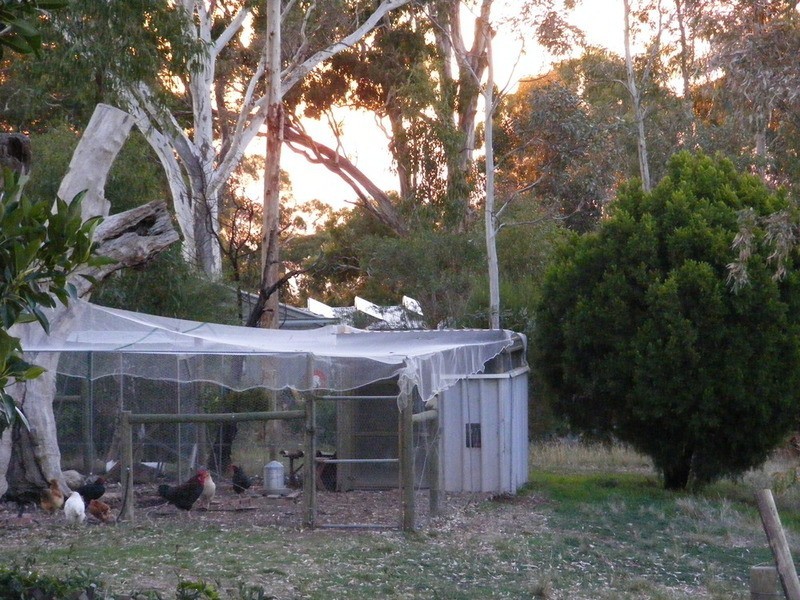 Lot 2 Footts Hill Road, Hawthorndene SA 5051