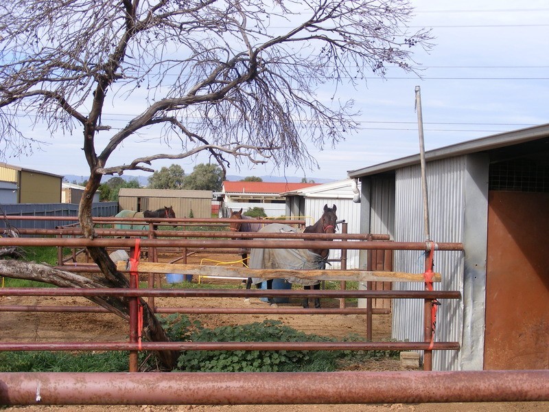 683A Whites Road, Globe Derby Park SA 5110