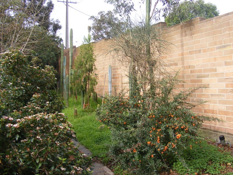 347 Shepherds Hill Road, Blackwood SA 5051