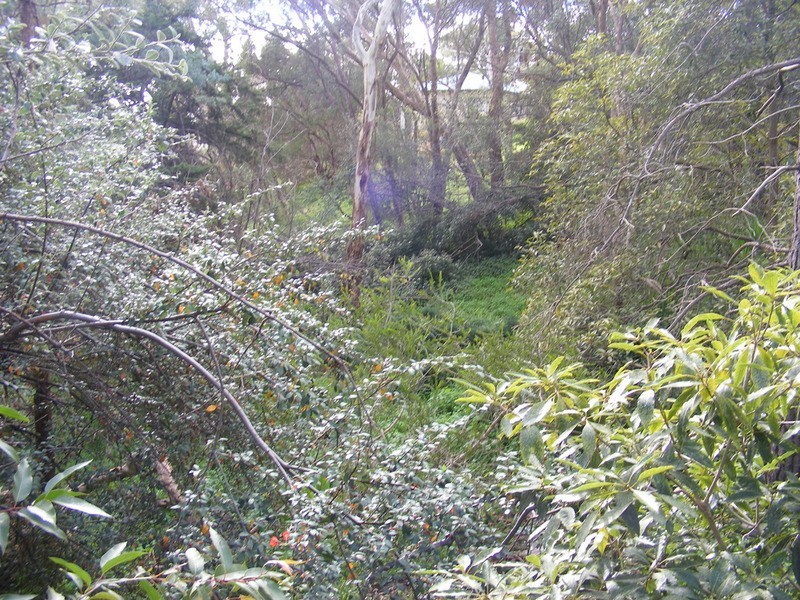 347 Shepherds Hill Road, Blackwood SA 5051